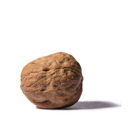 Beak-Size Whole Walnuts